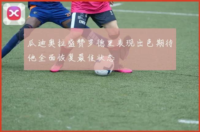 瓜迪奥拉盛赞罗德里表现出色期待他全面恢复最佳状态